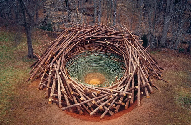 oeuvre de Nils Udo représentant un nid géant fait de morceaux de bois