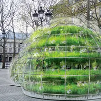 bulle de 80m3 en pvc transparent contenant des végétaux par Amaury Gallon