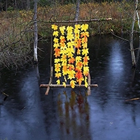 sculpture suspendue cadre en bâtons et intérieur en feuilles jaunes par Nils Udo